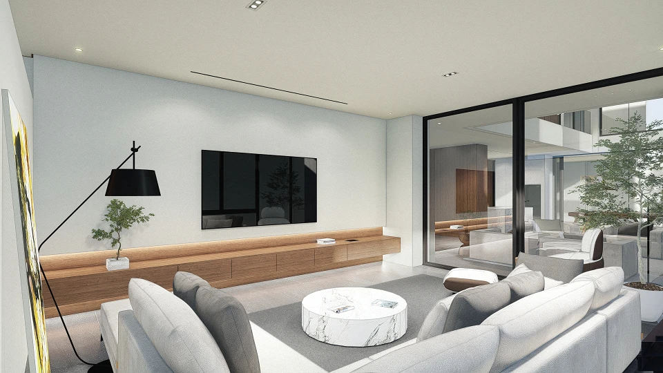 Entertainment Room